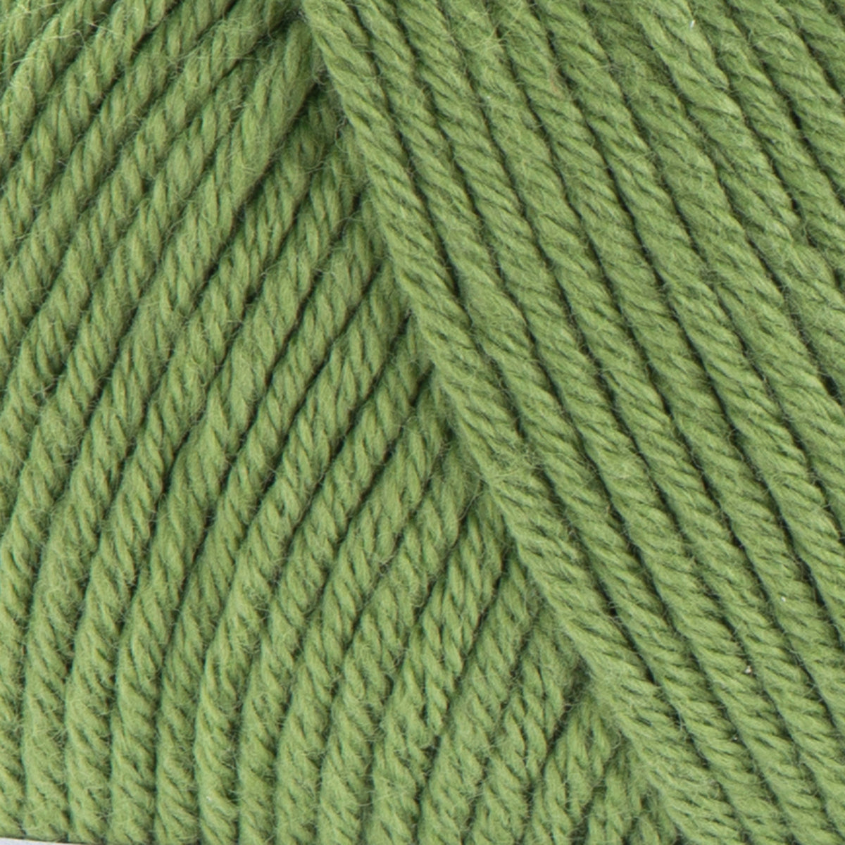 Saliegroen