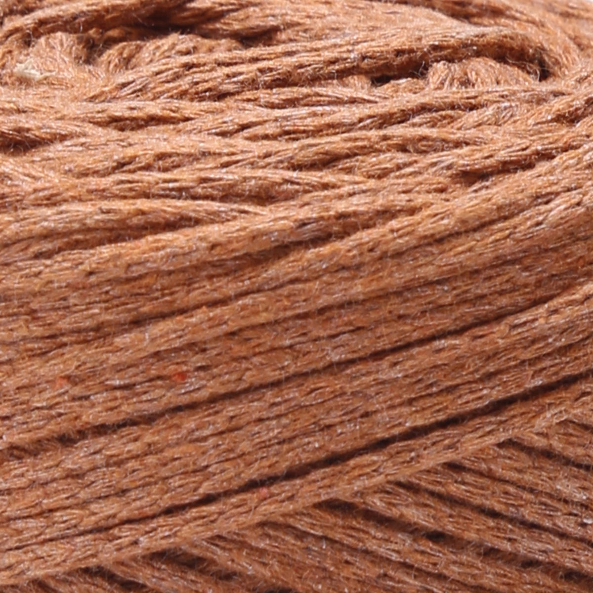 Kameel